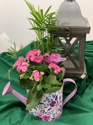 The Mothers Day Watering Can Planter