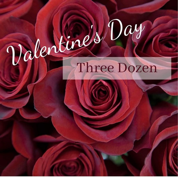 Three Dozen Red Roses 