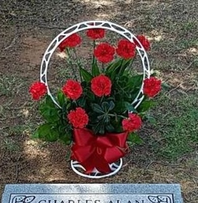 A Dozen Carnation Tribute  