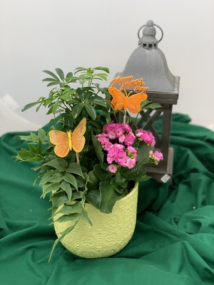 French Garden Container 